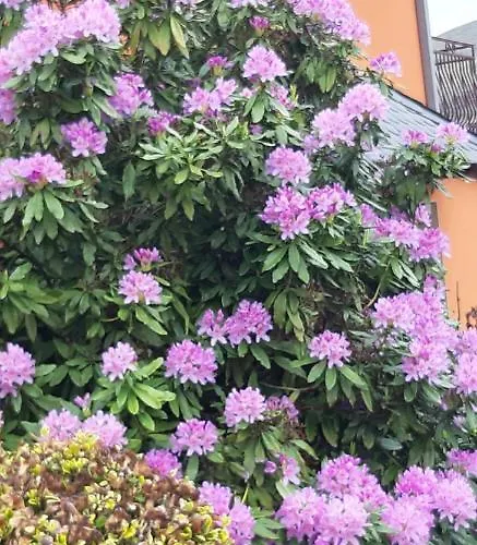 Semesterbostad Gite, D'hote De Charme, Petit Dejeuner Compris