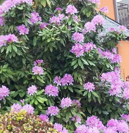 Tatil Evi Gite, D'hote De Charme, Petit Dejeuner Compris